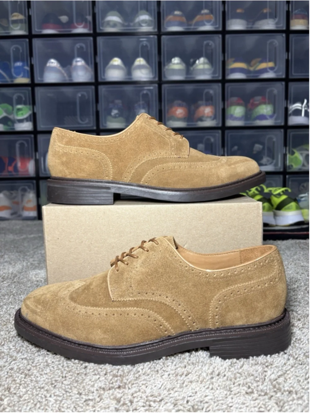 Polo Ralph Lauren Asher Brown Suede Wingtip Shoes Derby Vibram Men’s Size 10 NEW